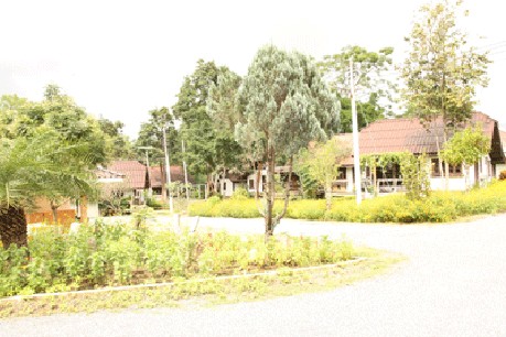 ภูชมจันทร์ รีสอร์ท ภูชมจันทร์ รีสอร์ท