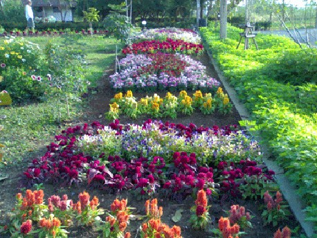 ภูชมจันทร์ รีสอร์ท ภูชมจันทร์ รีสอร์ท