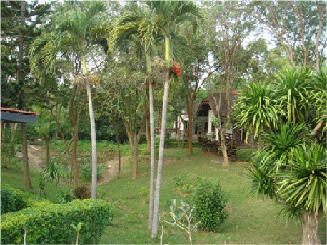 ภูชมจันทร์ รีสอร์ท ภูชมจันทร์ รีสอร์ท