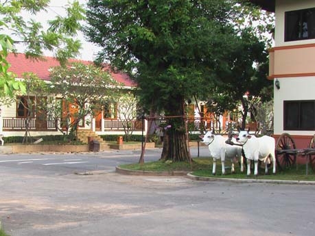สยามริเวอร์ รีสอร์ท ชัยภูมิ สยามริเวอร์ รีสอร์ท ชัยภูมิ