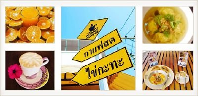 โรงแรมแคคตัส โรงแรมแคคตัส