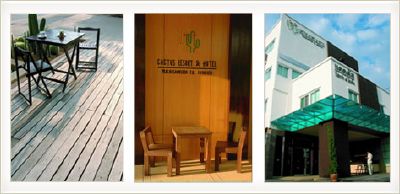 โรงแรมแคคตัส โรงแรมแคคตัส