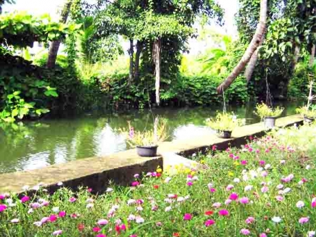 บ้านคลองสวน โฮมสเตย์ : Homesyay Baanklongsuan บ้านคลองสวน โฮมสเตย์ : Homesyay Baanklongsuan