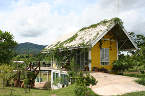 ต้นน้ำโฮมสเทด tonnamhomestead ต้นน้ำโฮมสเทด tonnamhomestead