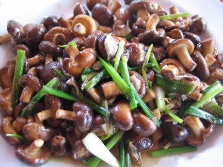 ครัวอิ่มสุข รีสอร์ท แอนด์ เรสเทอร์รอง ครัวอิ่มสุข รีสอร์ท แอนด์ เรสเทอร์รอง