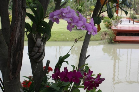 บ้านสวน ไร้กังวล รีสอร์ท บ้านสวน ไร้กังวล รีสอร์ท