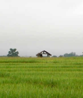 บ้านศศธร(โฮมสเตย์) บ้านศศธร(โฮมสเตย์)