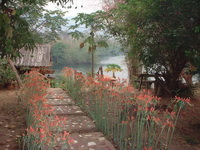 Tongphaphoom River Hill.ทองผาภูมิ ริเวอร์ฮิลล์ Tongphaphoom River Hill.ทองผาภูมิ ริเวอร์ฮิลล์