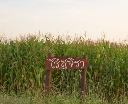 บ้านไร่สุจิรา บ้านไร่สุจิรา