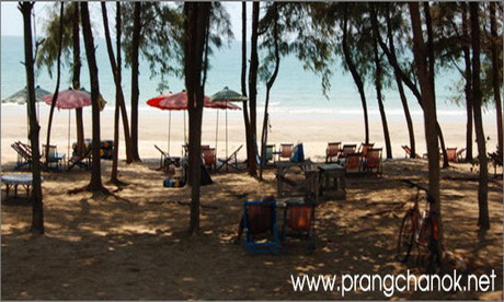 ปรางชนกรีสอร์ท : Prangchanok Resort