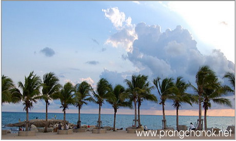 ปรางชนกรีสอร์ท : Prangchanok Resort ปรางชนกรีสอร์ท : Prangchanok Resort