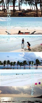 ปรางชนกรีสอร์ท : Prangchanok Resort ปรางชนกรีสอร์ท : Prangchanok Resort