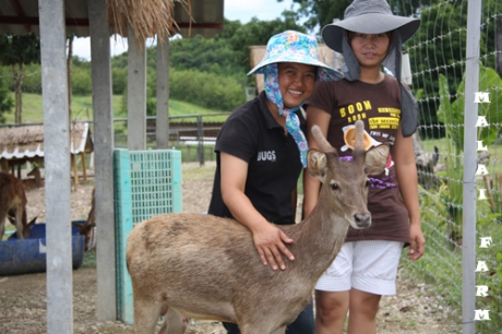 Malai Ostrich Farm (( มาลัย ฟาร์มนกกระจอกเทศ ))