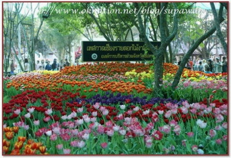 บ้านณัฐวดี รีสอร์ท เชียงราย บ้านณัฐวดี รีสอร์ท เชียงราย