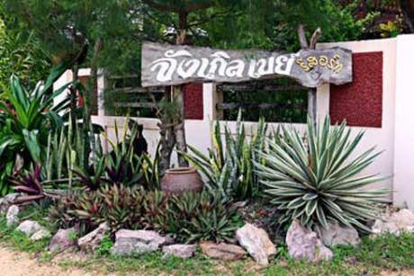 Jungle Bay Resort : จังเกิ้ลเบย์ รีสอร์ท Jungle Bay Resort : จังเกิ้ลเบย์ รีสอร์ท