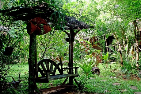 Jungle Bay Resort : จังเกิ้ลเบย์ รีสอร์ท Jungle Bay Resort : จังเกิ้ลเบย์ รีสอร์ท