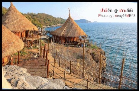 Paree Hut : ปารี ฮัท Paree Hut : ปารี ฮัท
