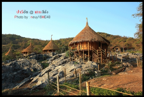Paree Hut : ปารี ฮัท Paree Hut : ปารี ฮัท