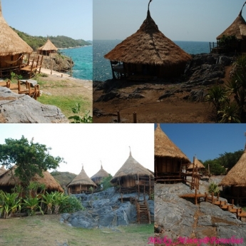 Paree Hut : ปารี ฮัท Paree Hut : ปารี ฮัท