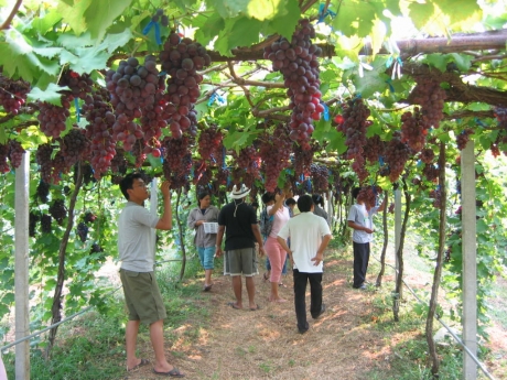 กรีน ริเวอร์ ฮิลล์ รีสอร์ท กรีน ริเวอร์ ฮิลล์ รีสอร์ท