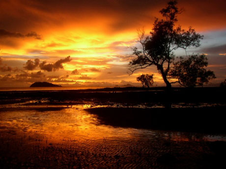 สีบอยา บังกะโล สีบอยา บังกะโล