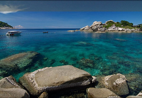 เกาะเต่าวิวพอยท์ เกาะเต่าวิวพอยท์