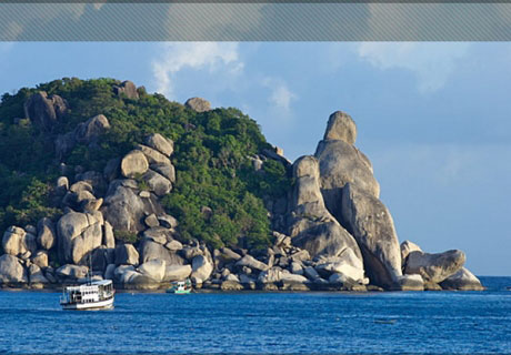 เกาะเต่าวิวพอยท์ เกาะเต่าวิวพอยท์