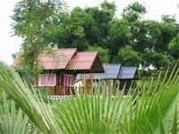 เอเวอร์กรีน สตาร์ รีสอร์ท เอเวอร์กรีน สตาร์ รีสอร์ท