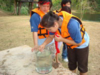 เอเวอร์กรีน สตาร์ รีสอร์ท เอเวอร์กรีน สตาร์ รีสอร์ท