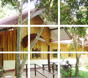 ธนู ริเวอร์ รีสอร์ท ธนู ริเวอร์ รีสอร์ท