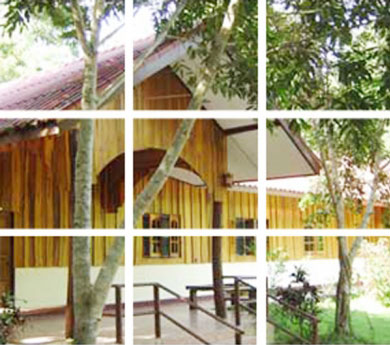 ธนู ริเวอร์ รีสอร์ท ธนู ริเวอร์ รีสอร์ท