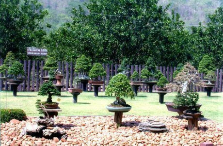 น้ำใส ไม้สวย รีสอร์ท น้ำใส ไม้สวย รีสอร์ท