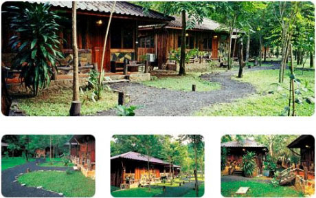 บ้านห้วยอู่ล่องรีสอร์ท บ้านห้วยอู่ล่องรีสอร์ท