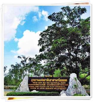 ทิวมะพร้าว อ่าวปราณ รีสอร์ท ทิวมะพร้าว อ่าวปราณ รีสอร์ท
