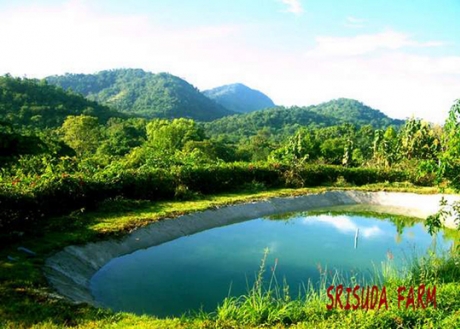 โรงแรม รีสอร์ ที่พัก ปากช่อง โรงแรม รีสอร์ ที่พัก ปากช่อง