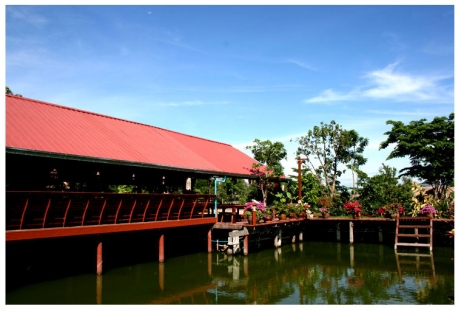 บ้านไม้ชายเลน บ้านไม้ชายเลน