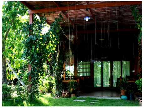 บ้านไม้ชายเลน บ้านไม้ชายเลน
