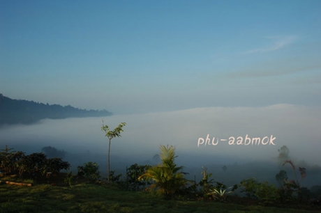 ภูอาบหมอก ภูอาบหมอก