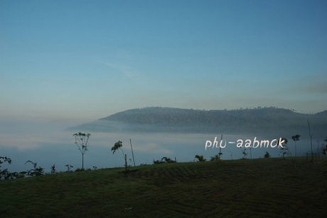 ภูอาบหมอก ภูอาบหมอก