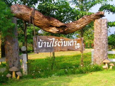 เช็คห้องพักว่าง วังน้ำเขียว เช็คห้องพักว่าง วังน้ำเขียว