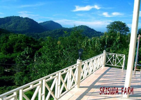 โรงแรม รีสอร์ ที่พัก ปากช่อง โรงแรม รีสอร์ ที่พัก ปากช่อง