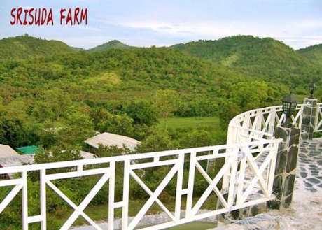 โรงแรม รีสอร์ ที่พัก ปากช่อง โรงแรม รีสอร์ ที่พัก ปากช่อง