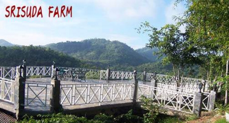 โรงแรม รีสอร์ ที่พัก ปากช่อง โรงแรม รีสอร์ ที่พัก ปากช่อง