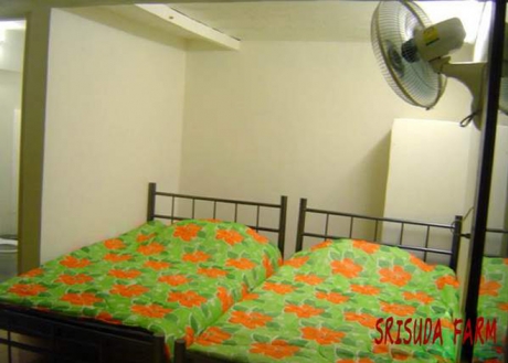 โรงแรม รีสอร์ ที่พัก ปากช่อง โรงแรม รีสอร์ ที่พัก ปากช่อง