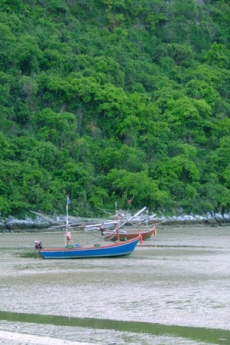 บ้านเรือรีสอร์ท บ้านเรือรีสอร์ท