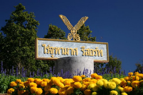 ไร่จุฑามาศ รีสอร์ท ไร่จุฑามาศ รีสอร์ท