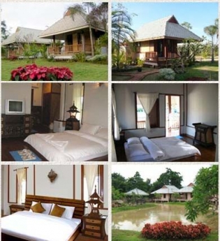 ปาย เฮิร์บ รีสอร์ท ปาย เฮิร์บ รีสอร์ท