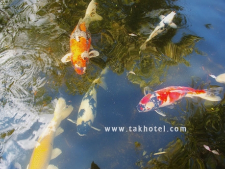 โรงแรม ตาก อันดามัน รีสอร์ท โรงแรม ตาก อันดามัน รีสอร์ท