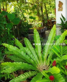 โรงแรม ตาก อันดามัน รีสอร์ท โรงแรม ตาก อันดามัน รีสอร์ท