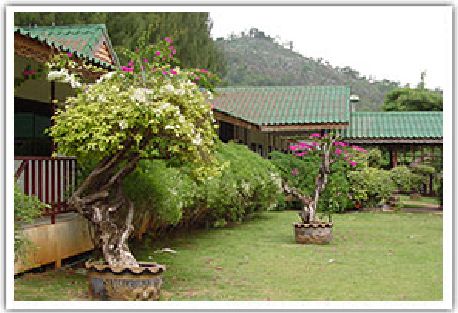 เช็คห้องพักว่าง เขาใหญ่ เช็คห้องพักว่าง เขาใหญ่
